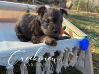 processed/bfa0209b-dbda-4650-9303-3a4f42502fe7/listing/09764c23-41df-42af-88d7-48fe352a0726/1068d330-0107-46de-892f-40ce27ea8629