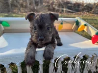 processed/bfa0209b-dbda-4650-9303-3a4f42502fe7/listing/09764c23-41df-42af-88d7-48fe352a0726/1c4b145b-ca3d-4427-a2fd-a8f5a0bb4064