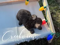 processed/bfa0209b-dbda-4650-9303-3a4f42502fe7/listing/09764c23-41df-42af-88d7-48fe352a0726/59a856e2-dba0-4a7b-a012-2d7869a7fcce