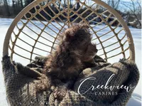 processed/bfa0209b-dbda-4650-9303-3a4f42502fe7/listing/09764c23-41df-42af-88d7-48fe352a0726/84b7e405-4e3a-4482-9019-c4e89e71f6d0