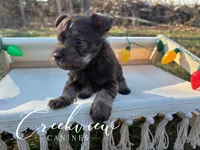 processed/bfa0209b-dbda-4650-9303-3a4f42502fe7/listing/09764c23-41df-42af-88d7-48fe352a0726/c774260b-49ee-477b-b4dd-7d5fccfaec46