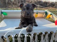 processed/bfa0209b-dbda-4650-9303-3a4f42502fe7/listing/09764c23-41df-42af-88d7-48fe352a0726/d5cc9623-8d26-4c42-80bb-c3b70a470e9e