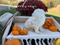 processed/bfa0209b-dbda-4650-9303-3a4f42502fe7/listing/73335c03-c10b-499f-b5d5-700a42657159/0a1de9fa-2852-4225-859c-aa350c135569