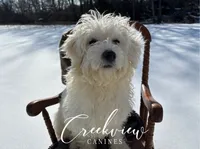 processed/bfa0209b-dbda-4650-9303-3a4f42502fe7/listing/73335c03-c10b-499f-b5d5-700a42657159/2acc3cd7-eb01-4a09-b185-51f8bd64b3a3