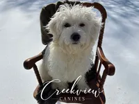 processed/bfa0209b-dbda-4650-9303-3a4f42502fe7/listing/73335c03-c10b-499f-b5d5-700a42657159/b29595a6-f54d-47bb-96f7-aa7fefac4e01