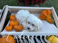 processed/bfa0209b-dbda-4650-9303-3a4f42502fe7/listing/73335c03-c10b-499f-b5d5-700a42657159/b574b976-f053-4f49-ba1e-00564dc8556c