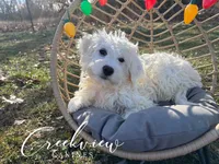 processed/bfa0209b-dbda-4650-9303-3a4f42502fe7/listing/73335c03-c10b-499f-b5d5-700a42657159/c2b3f0d7-ea42-4493-90d6-585d99a1e442