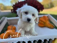 processed/bfa0209b-dbda-4650-9303-3a4f42502fe7/listing/73335c03-c10b-499f-b5d5-700a42657159/d53ff61b-4f52-4a7b-bf9d-df5b2653f800