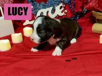 processed/bfa05523-1256-4285-9d53-a8f91e233ae6/listing/0f8e7297-3080-4c28-9715-2afe42654ed0/9b3c3234-c666-42dd-ba04-fd38c79c463e