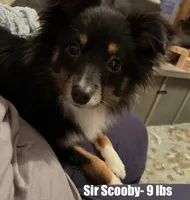 processed/bfa05523-1256-4285-9d53-a8f91e233ae6/listing/42d51f42-db61-47ee-a1da-74c79c2e4a4f/03d9cea6-3452-4935-b964-3ac0d6c213b1