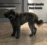 processed/bfa05523-1256-4285-9d53-a8f91e233ae6/listing/42d51f42-db61-47ee-a1da-74c79c2e4a4f/5587d299-a883-4195-8537-4568315237ec