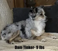 processed/bfa05523-1256-4285-9d53-a8f91e233ae6/listing/6ad9e721-4d90-4b35-a23d-f1dc1171a9c1/a485bb2c-a9fc-4fe8-9080-1cda2bc43e92