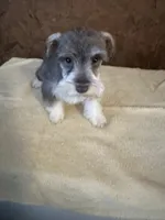 processed/bfa62f79-183d-475d-b7d7-07f398f51560/listing/52913ff8-b98c-4826-9742-6fa56baaea9d/859748e4-e8a4-4c12-b89d-f2d2f15dd58b