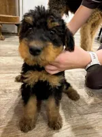 processed/bfaa73f5-8250-4f25-adef-4a202cbfad19/listing/00101061-1b92-40ab-868c-c4ca41a478f4/70e183be-7f12-4d79-a738-919bc2bd6159