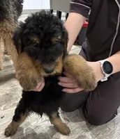 processed/bfaa73f5-8250-4f25-adef-4a202cbfad19/listing/00101061-1b92-40ab-868c-c4ca41a478f4/9e363f86-1924-4ecd-bcd3-aab3eb0852ee