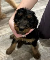 processed/bfaa73f5-8250-4f25-adef-4a202cbfad19/listing/100f553f-ea6a-4687-b23b-7bca3c43b17e/3ba07d6c-7ae1-4807-8c86-ce08cd30ee01