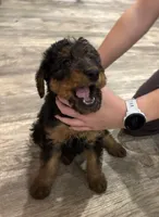 processed/bfaa73f5-8250-4f25-adef-4a202cbfad19/listing/100f553f-ea6a-4687-b23b-7bca3c43b17e/6579057b-cf28-4905-8b1a-ae415cd5bd5d