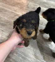 processed/bfaa73f5-8250-4f25-adef-4a202cbfad19/listing/7cb7b12f-6d8e-4f5f-a90a-dcc3da33826e/3afedfb1-49e5-4836-a1d4-a435c9b8e88b