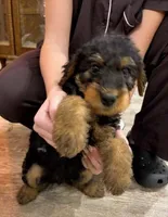 processed/bfaa73f5-8250-4f25-adef-4a202cbfad19/listing/7cb7b12f-6d8e-4f5f-a90a-dcc3da33826e/5029fbf3-14c3-475f-9eed-22ec04ff3ce8