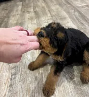 processed/bfaa73f5-8250-4f25-adef-4a202cbfad19/listing/cf9c5d69-5af7-4c3e-ae0e-8fa51e2e3e61/0bea6974-9744-46e2-9766-e46cd72d5b11