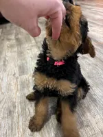 processed/bfaa73f5-8250-4f25-adef-4a202cbfad19/listing/cf9c5d69-5af7-4c3e-ae0e-8fa51e2e3e61/4e3c4c3e-b64c-4c58-87d9-677d045a7ddd