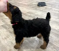 processed/bfaa73f5-8250-4f25-adef-4a202cbfad19/listing/cf9c5d69-5af7-4c3e-ae0e-8fa51e2e3e61/6fcbb446-be17-4969-b9d7-29c1ba7b18f1