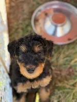 processed/bfaa73f5-8250-4f25-adef-4a202cbfad19/listing/cf9c5d69-5af7-4c3e-ae0e-8fa51e2e3e61/c69e1f19-9579-4441-8781-c2ce2ccd582f