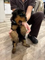 processed/bfaa73f5-8250-4f25-adef-4a202cbfad19/listing/d4a07ad6-4ca7-4397-a343-1bc668cbab4e/657cc713-5695-4f91-9188-c0d077019c76