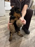 processed/bfaa73f5-8250-4f25-adef-4a202cbfad19/listing/d4a07ad6-4ca7-4397-a343-1bc668cbab4e/e6082737-2634-4bf9-8b3b-1dcd4bf5320d