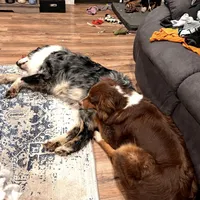 processed/bfb04258-d195-4c3d-a980-6ee5e248dee3/facility/04c35a3a-037d-4e72-8121-d4125790fc22