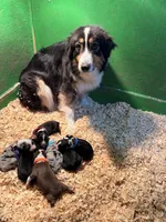 processed/bfb04258-d195-4c3d-a980-6ee5e248dee3/facility/a22e534c-c79b-447e-8bd0-b4e30fd64336