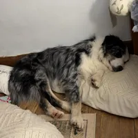 processed/bfb04258-d195-4c3d-a980-6ee5e248dee3/facility/c485e619-2e0e-4036-a739-ac2d894ff70e