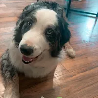 processed/bfb04258-d195-4c3d-a980-6ee5e248dee3/facility/f378e009-79f4-4180-800b-5eb376938756