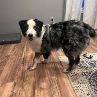 processed/bfb04258-d195-4c3d-a980-6ee5e248dee3/facility/f385640c-50a0-4280-9012-9d622fefa56f