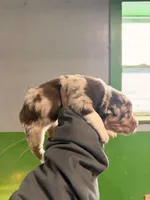 processed/bfb04258-d195-4c3d-a980-6ee5e248dee3/listing/a0b98262-9fd9-4e6c-b486-9a6f51ef2e38/2495703e-7e0a-4417-a9c2-8457cc9eb52a