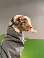 processed/bfb04258-d195-4c3d-a980-6ee5e248dee3/listing/a0b98262-9fd9-4e6c-b486-9a6f51ef2e38/ceb2e11b-1a1e-4e2a-b634-2f7da2fdf529