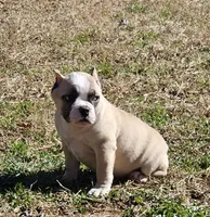 processed/bfbadf05-cb4e-4be9-b161-325bfa2dccac/listing/48e06e44-f230-4c0f-8a27-dffac4e42f35/2f89d429-39e2-4bd5-8a1b-d1f63465fef9