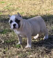 processed/bfbadf05-cb4e-4be9-b161-325bfa2dccac/listing/48e06e44-f230-4c0f-8a27-dffac4e42f35/49bfb048-3633-48cd-bd90-2a68dc83c121