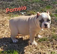 processed/bfbadf05-cb4e-4be9-b161-325bfa2dccac/listing/48e06e44-f230-4c0f-8a27-dffac4e42f35/5eec49e7-5cd3-48dc-a19d-07e586523291