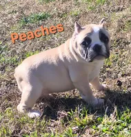 processed/bfbadf05-cb4e-4be9-b161-325bfa2dccac/listing/9c32650b-a339-4817-8354-cba95fc7a733/b41e19cb-a477-463c-9d58-d865022be612