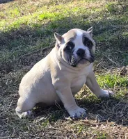 processed/bfbadf05-cb4e-4be9-b161-325bfa2dccac/listing/9c32650b-a339-4817-8354-cba95fc7a733/ec64097a-1bb7-4fdb-aca2-5205025af5df