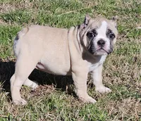 processed/bfbadf05-cb4e-4be9-b161-325bfa2dccac/listing/9c32650b-a339-4817-8354-cba95fc7a733/f369cb10-4a0a-493b-88d4-cb6ec97c0489