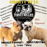 processed/bfbadf05-cb4e-4be9-b161-325bfa2dccac/listing/cd166369-3675-4872-9f86-db6308d63d5c/195c33de-3a4e-43f3-9308-c111cb188fef