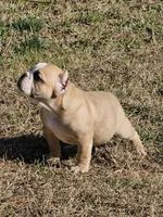 processed/bfbadf05-cb4e-4be9-b161-325bfa2dccac/listing/cd166369-3675-4872-9f86-db6308d63d5c/36b73395-71b3-40ee-857f-79a4212607d4