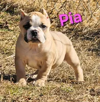 processed/bfbadf05-cb4e-4be9-b161-325bfa2dccac/listing/cd166369-3675-4872-9f86-db6308d63d5c/53a221fd-0447-44d9-803c-c3b8df88238a