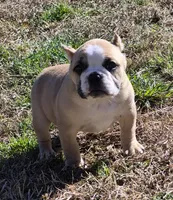 processed/bfbadf05-cb4e-4be9-b161-325bfa2dccac/listing/cd166369-3675-4872-9f86-db6308d63d5c/c243ec14-dda6-40fd-ac71-a95cdd5741eb