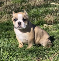 processed/bfbadf05-cb4e-4be9-b161-325bfa2dccac/listing/cd166369-3675-4872-9f86-db6308d63d5c/dc6dbef6-3cc1-472d-aa00-345978ed6583