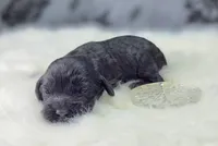 processed/bfbae80a-5fee-4b43-9a6d-87e1656d671c/listing/2aab9488-3846-43ab-ac96-fb602c541daa/0280e60a-8678-4409-bbe5-2732e5db37a8