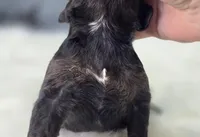 processed/bfbae80a-5fee-4b43-9a6d-87e1656d671c/listing/2aab9488-3846-43ab-ac96-fb602c541daa/bba0c4e9-72f0-4a15-b353-a11de5293584