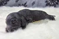 processed/bfbae80a-5fee-4b43-9a6d-87e1656d671c/listing/2aab9488-3846-43ab-ac96-fb602c541daa/e0ccfc71-e083-4179-9ebb-1c57b6b6b383